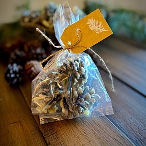 6 Natural Hand-made Firestarter’s